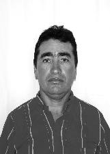 ALCIDES