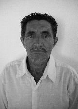 CHICO HONÓRIO