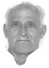 DÃO