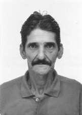 AMARO NETO