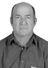 HELVIS PAPINI