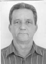 PATO ROUCO