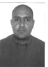 NIELSON 100% TRANSP ALTERNATIV