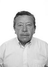 ALCIDES BENTO
