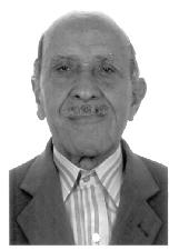 CASTANHEIRO