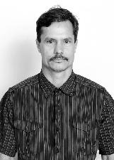 ABELHA PINTOR