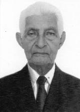 ALCINO