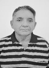 ABELHA
