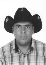 AMARAL STRADA