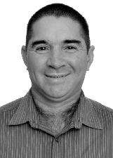 DISON PERDIZ