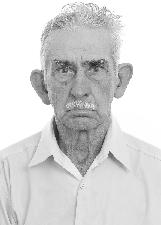DIVINO GINO
