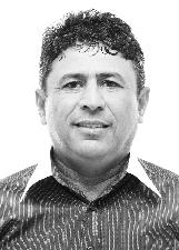 GAVIÃO