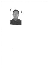 DINHO CACHORRO