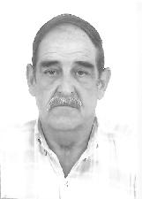 ARY BORGO