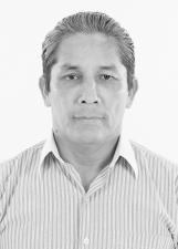ALCEMIR MANUARIS