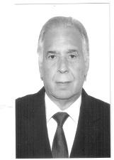 FLAVIO NELSON D