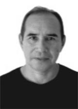 ALCIDES VIANA