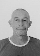 MICHEL FÓRMULA 1