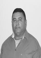 BOLO