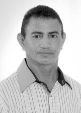 BEIJA-FLOR
