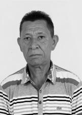 BOLOTA