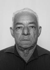 ANTÔNIO VENINA