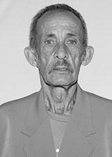 DIVINO JOSE CANDIDO - GRILO