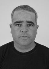 CAMARÃO PINTURAS