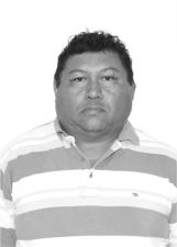 GATO FÉLIX