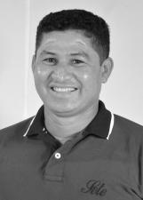 BENA DA PALMITEIRA