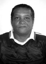SABIÁ
