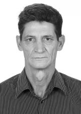 BIANCHINI
