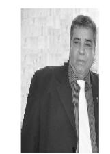 PINTINHO DE OLARIA