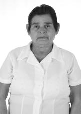 GESSI FLORES