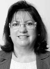 HELENA PEREIRA MESCHKE