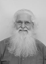PAPAI NOEL