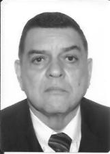 PEDREGAL