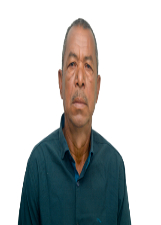 BODE DO DELFINO