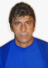 ABELHA DO COLO COLO