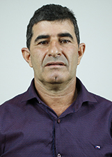 COLEMAR ALVES