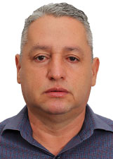 ARAÊZ AMS