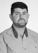 BOI DA ROSEIRA