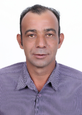 GAVIÃO