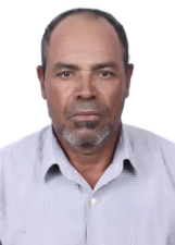 ANDORINHA VOZ DE OURO