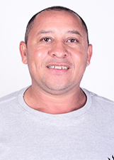 ABELHA MECANICO