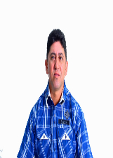 CHIQUINHO DO PAU BRASIL