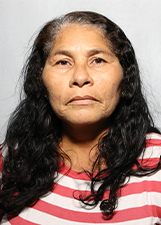 MARLENE PEREIRA