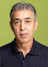 DINO