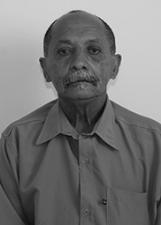 BASTIÃO PALETÓ