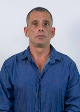BRUNO WILLE